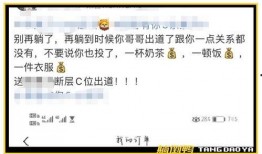 社会热点ppt 体育圈饭圈,热度与争议并存的社会热点解析