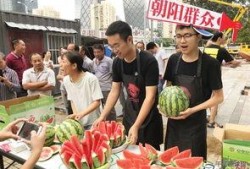 朝阳吃瓜网,揭秘娱乐圈最新热点，带你领略明星幕后故事