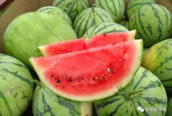 今日吃瓜51,揭秘娱乐圈最新热点事件